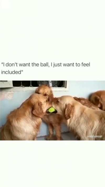 What ya doing guys?