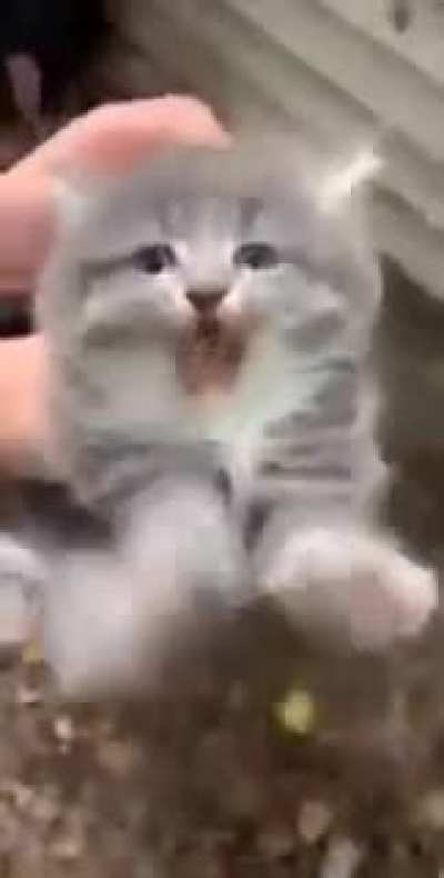 i think he's angry