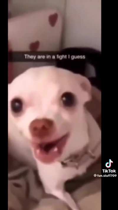 Low Quality Meme