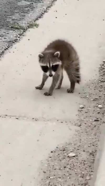 tututututu
