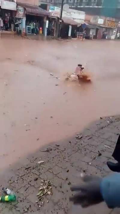 I thought he would make it