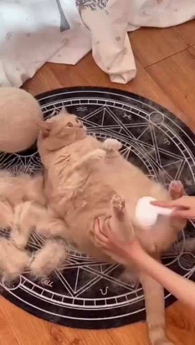 Brushy brushy