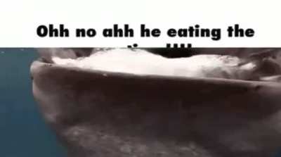 he ruined my fucking post you idiot hghh how could yiuuu