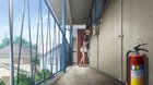 Bros before hoes [Golden Time]