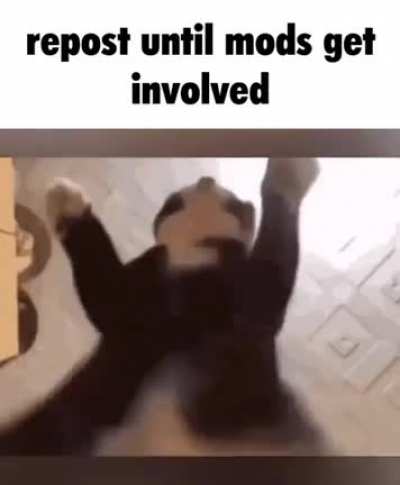 Title