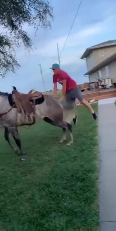 This guy tries to jump on the horse and the horse hates stupids.