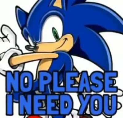 sonic 🚶