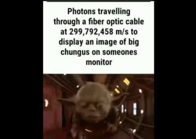 I love big chungus