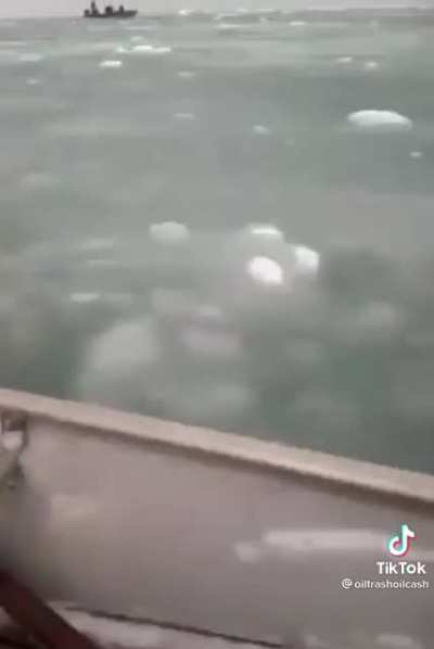 Касатка напала на лодку эским<wbr>осов