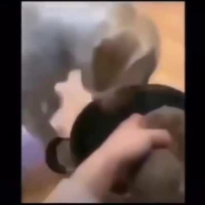 Respeto