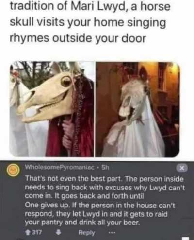 horse