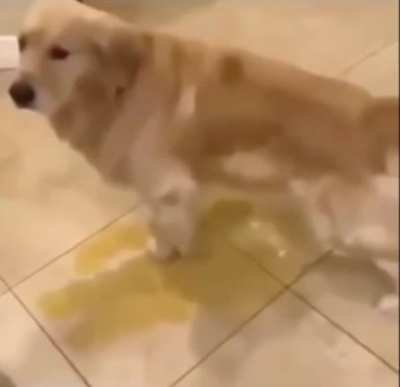 Yo cuando el profe no me deja ir al baño porque ya fue un compañero