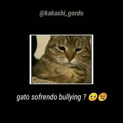 Bully
