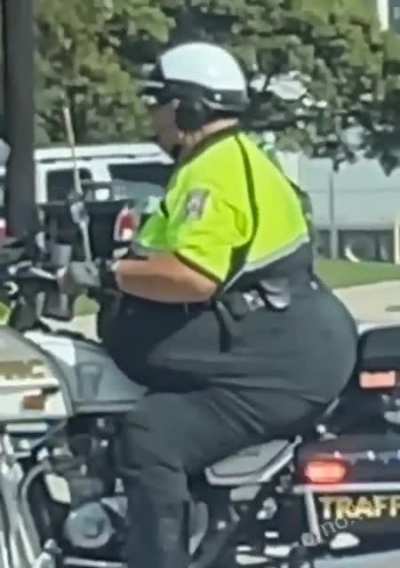 Booty or Belly