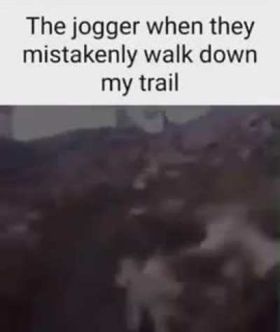 ‌