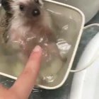 Taking a bath.