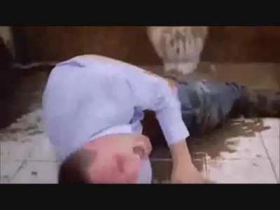 Technically, I’m posting about shit, making this the best shitpost.