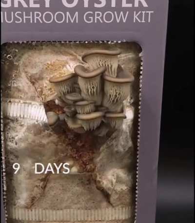 Mushroom growkit