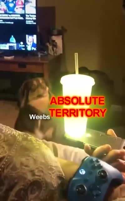 The Absolute Territory!