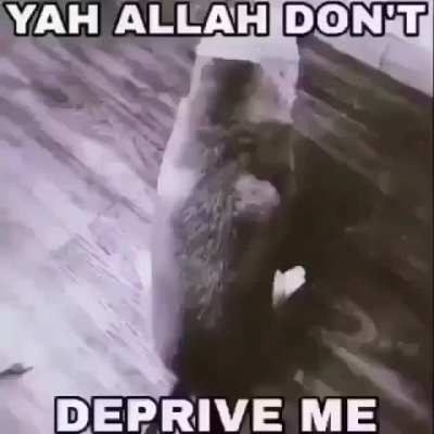 Allah rule