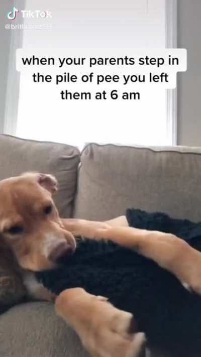 I tought it belongs here