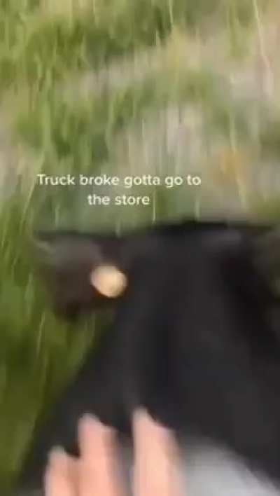 🐗👨🏿