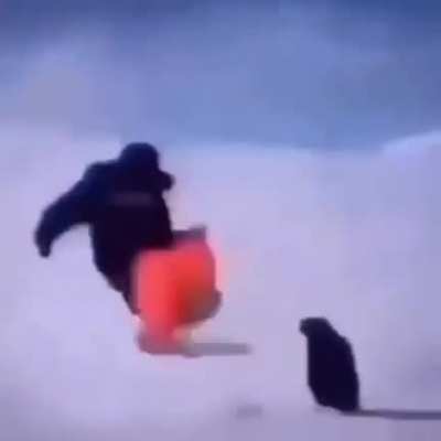 (;-;)