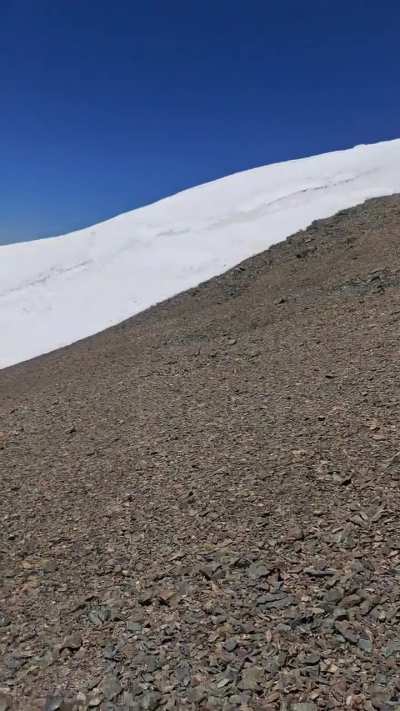 Taña 2.0 