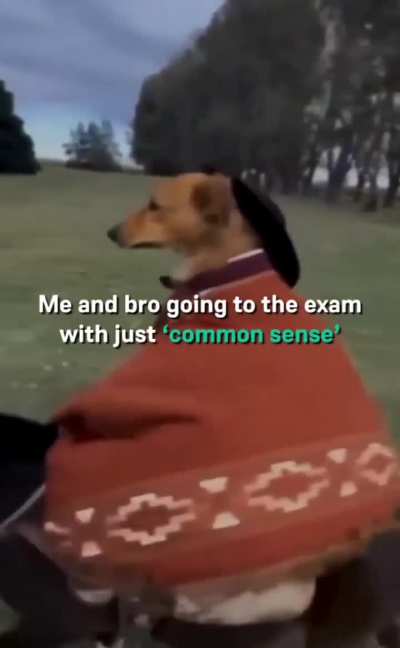 It should be enough