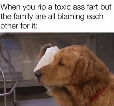 Blame The Humans