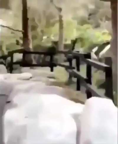 Watch For Rocks