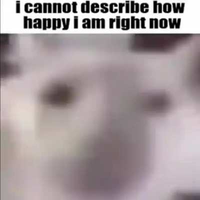 kitteh