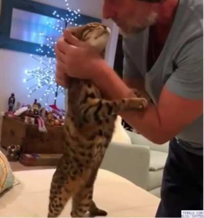 Love you Daddy