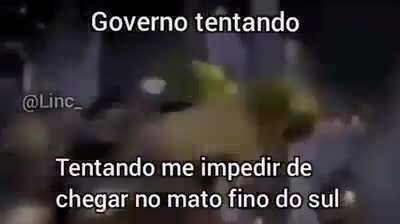 Se existe mato grosso do sul porque não mato fino do Sul