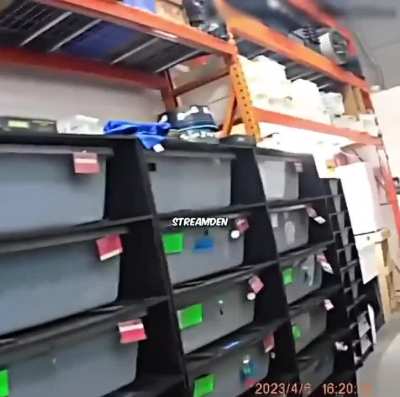 Cops accidentally euthanize $100,000 snake.. and this is how they react