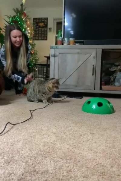 Vertical startle