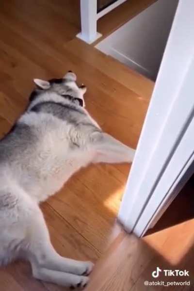 WOOOOAAAAAAAAAAAAAA