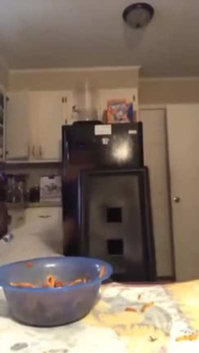 Hood ceiling fan?
