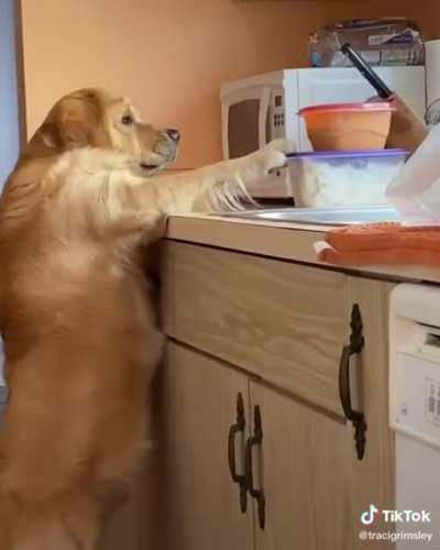 Caught red handed!