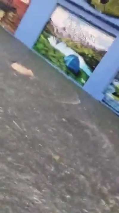 Lanús bajo agua