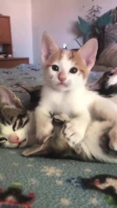 Its Mine NOW