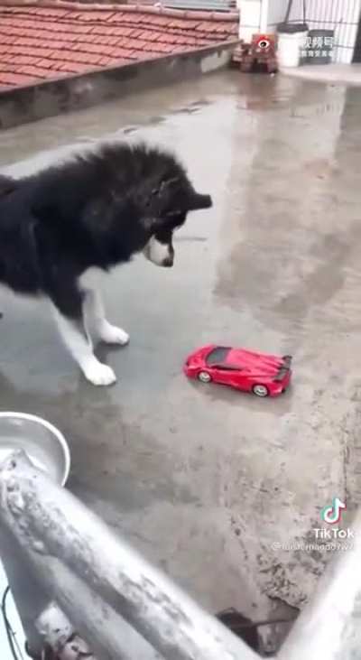 Восст<wbr>ание машин