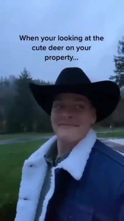 Oh deer