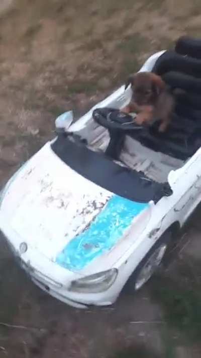 Formula 1