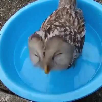 Receba uma Corujinha, para aquecer seu coração ❤️