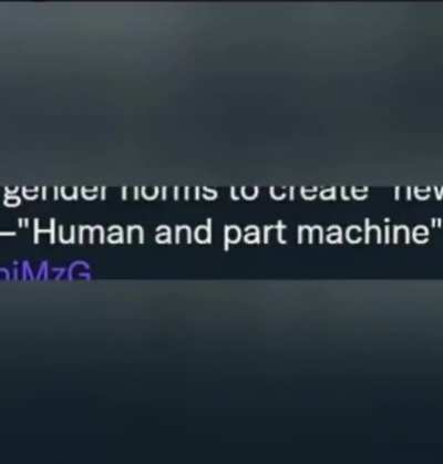 🚻 Trans Ex Machina 🤖