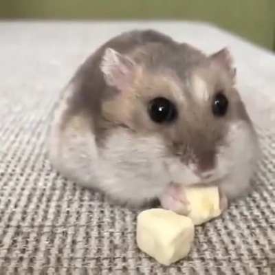 Here’s a break from all of the Middle East posts, have a great Saturday!!!