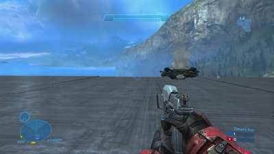 Here we see a Falcon in its natural habitat…