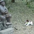 Poor doggy