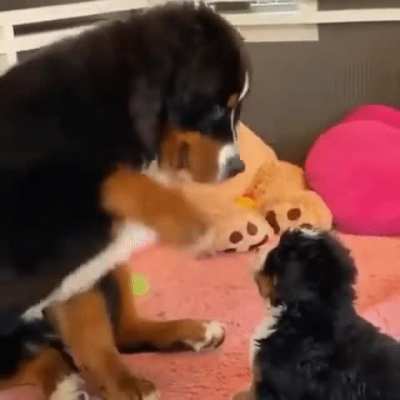 Such a lovely gentle taps.